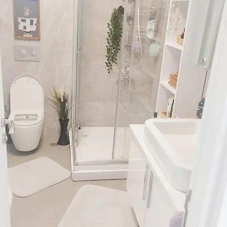 Luxurious Close To Center *